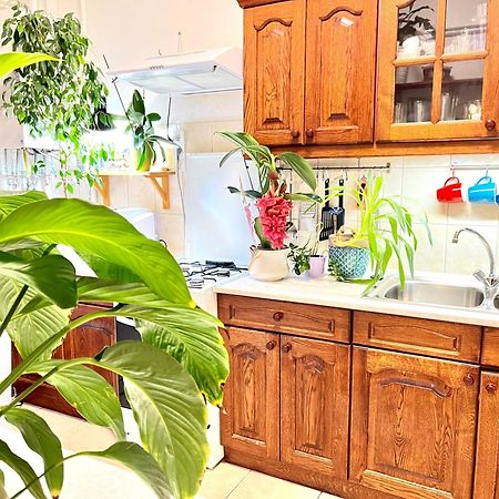 Margaret Bridge Best Spot Apartment Budapeszt Zewnętrze zdjęcie