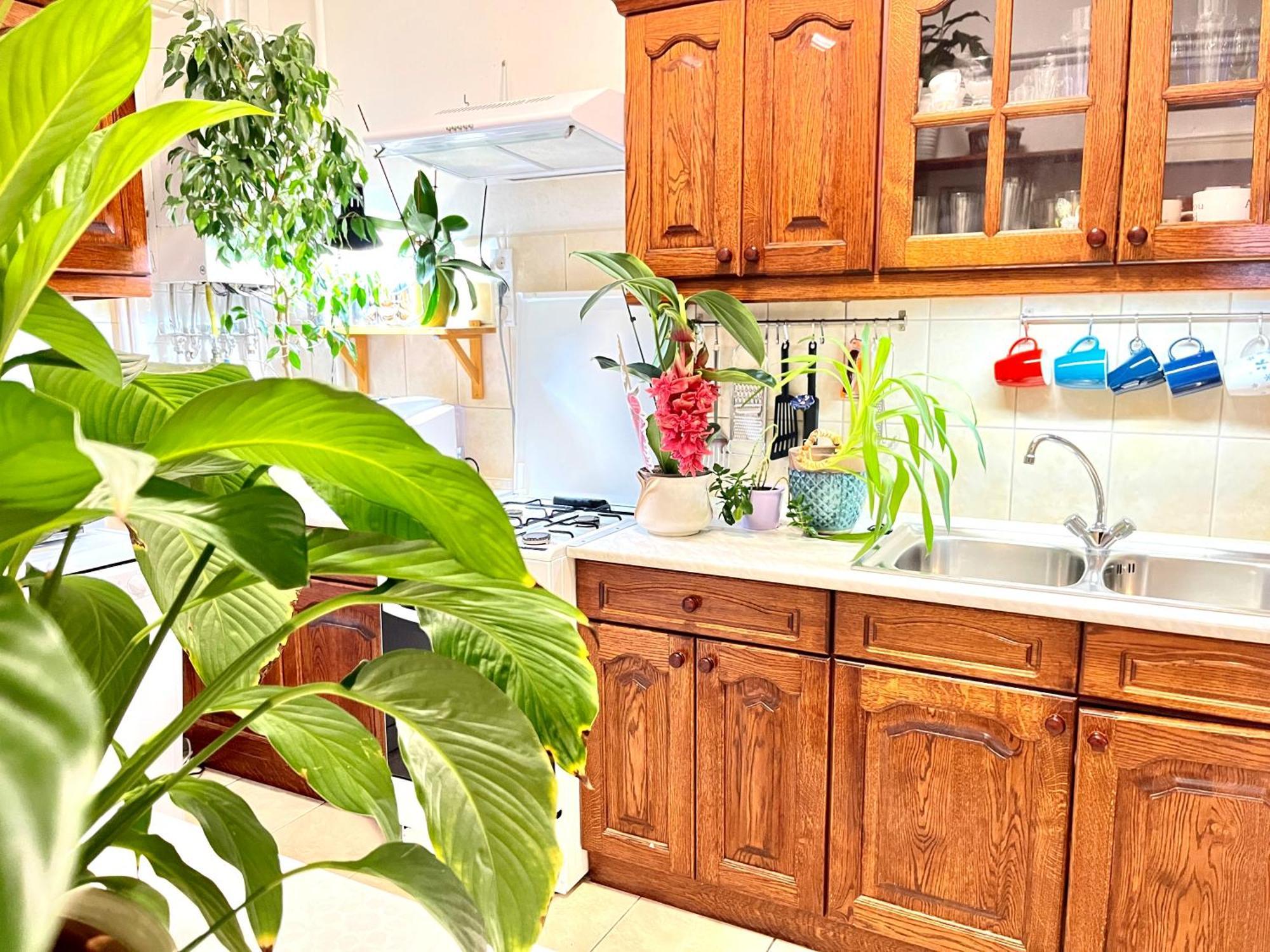 Margaret Bridge Best Spot Apartment Budapeszt Zewnętrze zdjęcie